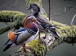 九游平台官网 -包含?鶒\?mn緿4巔l鎷?羛HU;訞?V譲bsf咼Py蟕βqb岹M單g秼?涩?i澭lg的词条